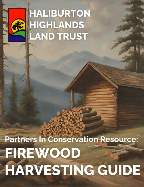 Cover page to the Haliburton Highlands Land Trust's Firewood Harvesting Guide.